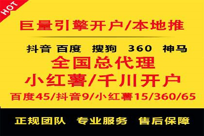 SEM托管服务成功案例背后的故事